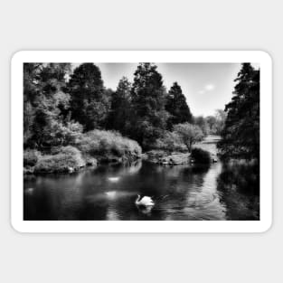 Nature's Beauty In Black And White Sticker